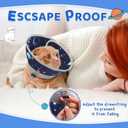 Cat Cone Collar Soft to Stop Licking, Adjustable, Foldable Lightweight Kitten Cones After Surgery Recovery for Cats & Kittens, Cat Cone Alternative, Easy Eating (Grey, L)