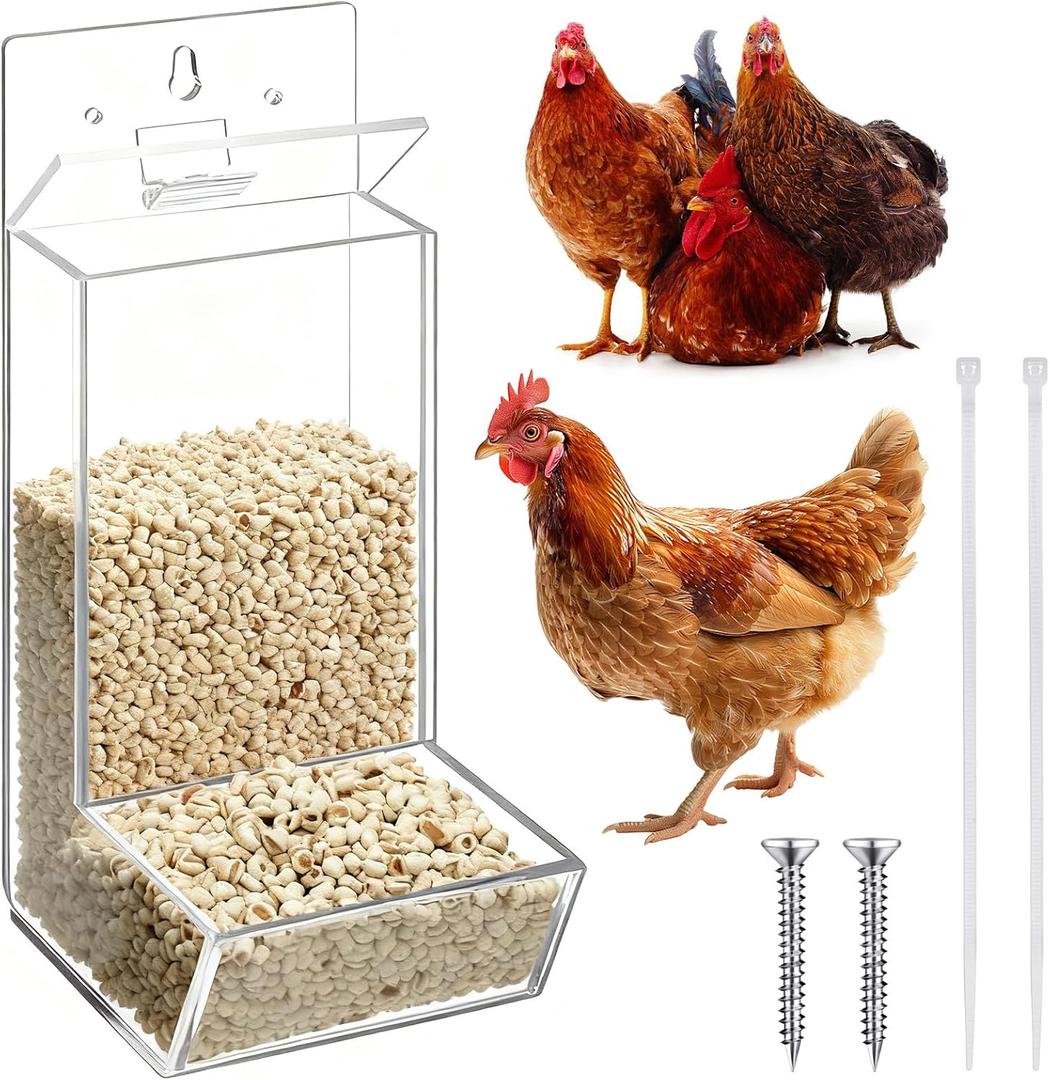 Hushee 1 Pack Acrylic Oyster Shell and Grit Feeder for Chickens, Clear Automatic Chickens Feeder with Lid Chicken Coop Accessories Multiple Installation Methods for Hens Chicks Cages Wall Pillar