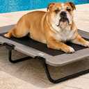 Pet Gear Lifestyle Pet Cot Elevated Bed, 40 Inch, Wheat | No Assembly Required, Premium Tear Resistant Cooling Mesh, Indoor & Outdoor, Lightweight & Portable