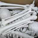 2Packs 5.4ft Halloween Human Skeletons Life Size Full Body Bones with Movable Joints for Halloween Props Spooky Party Decoration