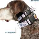 Buckle-Down Dog Collar Plastic Clip Sleeping Beauty Aurora and Fairy Godmothers Pose with Script 9.5 to 14.5 Inches 0.5 Inch Wide