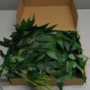 Artificial Italian Ruscus Greenery Stems, 20 Pack Faux Green Leaf Garland Branches Hanging Greenery Spray for Wedding Bouquet Arch Table Centerpiece Home Decor