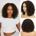 Brown Curly Wigs for Black Woman Glueless Synthetic Lace Front Wig with Pre Cut HD Lace Hairline 12 Inch Beginner Friendly Bob Wig Easy to Wear and Go for Daily Use