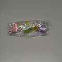 4 pcs Kids Watering Can Garden Watering Kettle Children Outdoor Indoor Decor