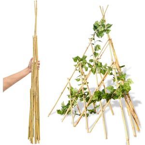 6ft Expandable Bamboo Teepee Trellis for Climbing Plants, Self-Standing Natural Bamboo Trellis for Plant Support, Folding Garden Trellis for Vines Flowers Vegetable Indoor Outdoor (70.8")