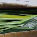 Lifelike Bird of Paradise Artificial Plant,6ft Faux Banana Leaf Tree with 13 Trunks - Perfect Indoor Silk Floor Plant for Home Decor in Living Room, Office, and Bedroom (Set of 2)