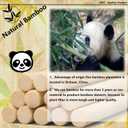 3/4 x 12 Inch 10 PCS Square Dowel Rods Wood Sticks Wooden Dowel Rods - Unfinished Bamboo Sticks - for Crafts,Home Decor, Model Making and DIYers