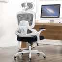 Ergonomic Office Chair, Mesh Desk Chair with 2D Adjustable Lumbar Support  Relieve Back Pain for Long Workdays Sitting, High Back with 3D Headrest & Armrests for Home Office Comfort, White