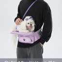 Foldable Waist Seat for Pet, Hands-Free Pet Carrier for Cats & Small Dogs