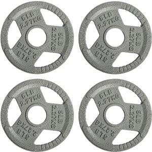 Fitvids Cast Iron Plate Weight Plate for Strength Training and Weightlifting, 2-Inch Center, 2.5LB (Set of 4)