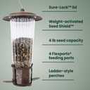 Perky-Pet 334-1SR Squirrel-Be-Gone Max Large Wild Bird Feeder with Flexports, Squirrel Proof Bird Feeder with Weight-Activated Perches - 4LB Seed Capacity