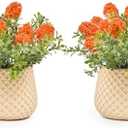 Fuxdre Fake Plants Small with 2 Pack, The Goleden Ball Flower for Bathroom Shelf Decor, Decorative Plants for Home Living Room Office Bedroom Table Tray Shelve Farmhouse Decor Indoor(Orange)