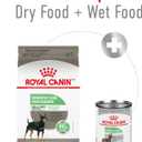 Royal Canin Canine Care Nutrition Small Digestive Care Adult Dry Dog Food, 3.5 lb (3.5 Pound (Pack of 1))