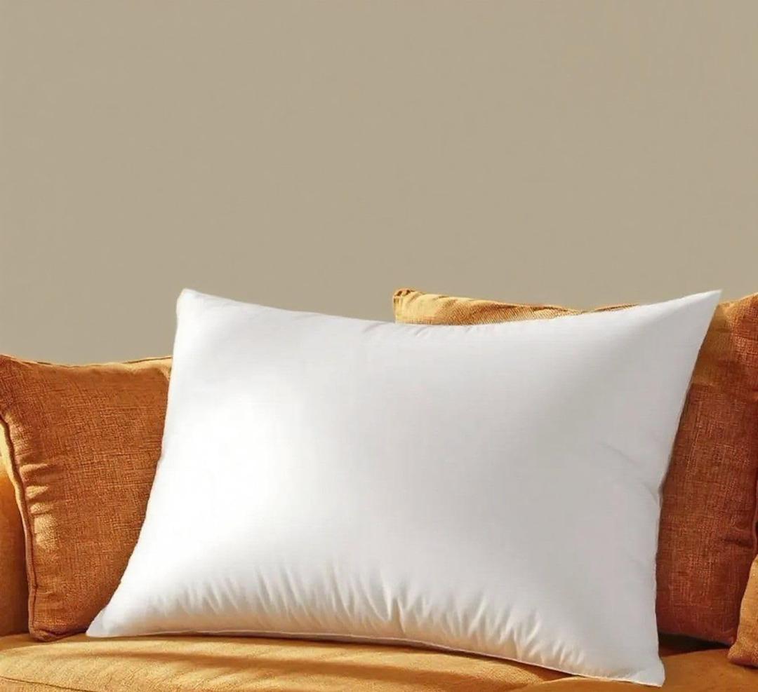 Shilucheng Down Pillows Queen Size Set of 1, 900+ Fill Power Side Sleeper Pillow for Sleeping, Hotel Quality Pillows for Side,20" x 30"