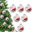 Eaasty 6 Pcs Glass Red Cardinal Christmas Ornaments Cardinal Ornaments for Christmas Tree Vintage Red Bird Decoration Cardinals Balls Glass Ornament for Xmas Tree Memorial Gifts Holiday Decor