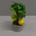 Woration Artificial Potted Plants Fake Yellow Lemon Tree Bonsai Decoration Faux Fruit Greenery with Pot Indoor for Home Office Living Room Table Ornaments, Lemon