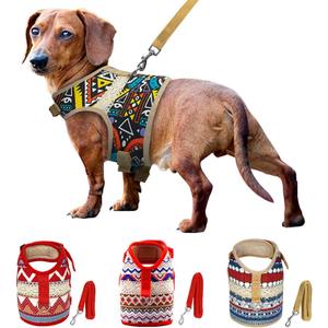 World Collection Harness for Small Breeds (Small, Pueblo)