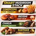 Instant Mushroom Powder 10:1 Cordyceps Mushroom Supplement with Reishi, Chaga & Shiitake Caffeine-Free Nighttime Drink with B6, B12, D + Probiotics Mushroom Cacao Organic Blend (No Sweetener)