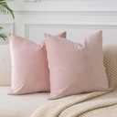 JUSPURBET Pink Velvet Throw Pillow Covers 16x16 Inches Set of 2 with Zipper Decorative Soft Solid Cushion Case for Couch Bed Sofa