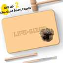 Beast Fossil Dig Kit Excavate Life-Sized Wolf Claw & Eagle Claw Replicas STEM Authenticated Science Kit for Kids Educational Gift for Boys & Girls Ages 6+