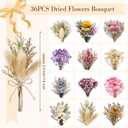 36 PCS Charming Dried Flowers Bouquet for Vase Various Dried Wildflowers with Stems Mini Handmade Wildflowers Natural Real Flowers Bulk Flowers for Crafts DIY Wedding Decor (Various Series)
