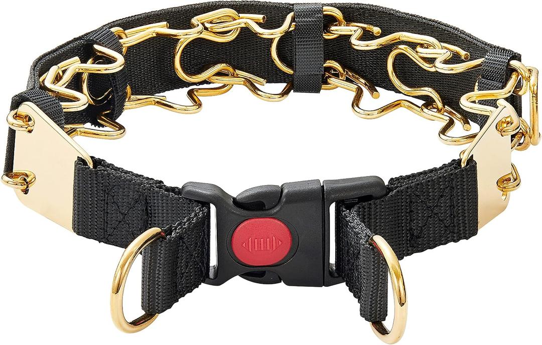 Chain Collar with Buckle Quick Release Adjustable Chrome Stainless Steel Dog Chain with Dog Tag Comfort No Pull Dog Collar(Gold, 24") (24"(for 20"-23.5" Neck))