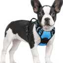 rabbitgoo Dog Harness No Pull with 2 Leash Clips, Adjustable Soft Padded, Reflective Oxford No Choke Pet Vest with Easy Control Handle for Small Dogs, Blue, S