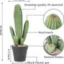 Artificial Cactus Fake Cacti 16" Faux Potted Cactus Plants for Home Store Office Decoration
