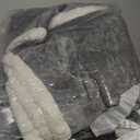 Qeils 1 Pack 2 Dog Blankets for Small Dogs - 2 pcs Waterproof Dog Blanket Washable - Soft Sherpa Fleece Puppy Blanket for Kitten Doggy, Warm Cat Blankets for Indoor Cats, 25"X30", Grey