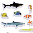 Ocean Friends Playing Cards(2 pack)