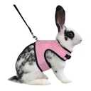 Niteangel Soft Harness with Leash for Rabbit ( XL, Pink)