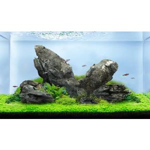 LANDEN Seiryu Stones Natural Rocks (17lbs, 3~11 inches,7-8pcs) for Aquarium, Paludarium, Terrariums, Landscaping Rocks, Aquascaping LANDEN Seiryu Stones Natural Rocks (17lbs, 3~11 inches,7-8pcs) for Aquarium, Paludarium, Terrariums, Landscaping Rocks, Aquascaping