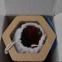 Montessori Wooden Board Game, 42 Colorful Sticks Dice Games for Kids 3 4 5 6 Years, Math Learning Toys Fine Motor Skills & Counting Educational Toy, Family Travel Game Birthday Gifts for Boys Girls