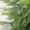 5ft Artificial Norfolk Pine Christmas Tree for Outdoor, 60in Real Touch Faux Norfolk Pine Christmas Tree with Black Pot for Indoor Outdoor Front Porch Home Xmas Decor, 2Pack