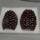 LUSHARBOR Pinecone Flameless Candles with Remote Timer, 2 Pack Real Wax Battery Operated LED Candles for Christmas Decorations, Rustic Holiday Table Centerpieces, Winter Home Décor Brown