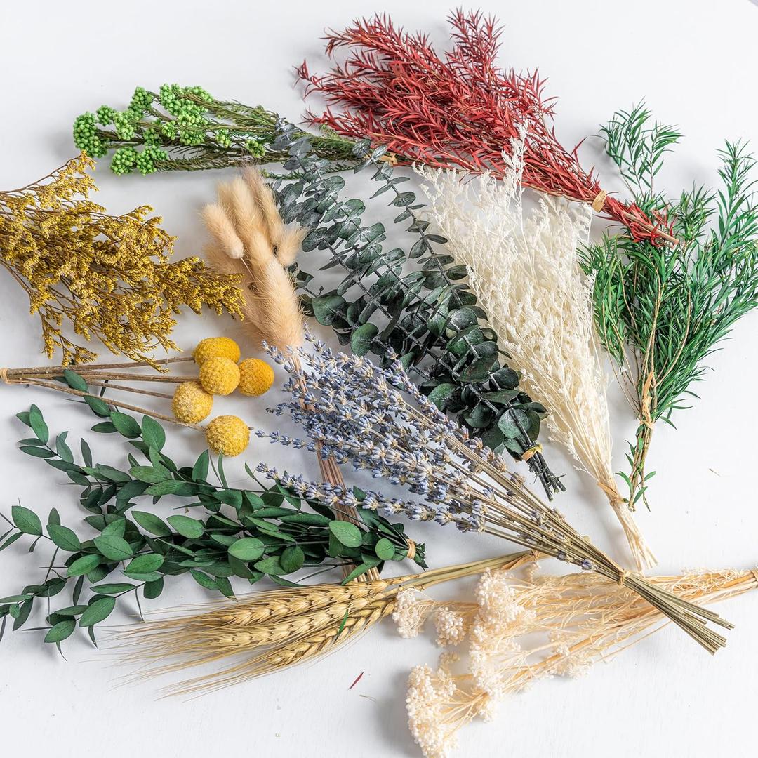 DIY Natural Dried Flower Set, 12 Kinds Bulk Dried Flowers Including Eucalyptus,Lavender,Wheat, Bunny Tails,Billy Ball,for Handmade,Home/Birthday/Seasonal Decor