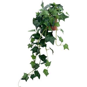 31.5" Artificial English Ivy Plant in Pot - Fake Silk Ivy Greenery for Home Decor, Tabletop, Office, Shelf, Balcony or Bathroom (1 Pack)