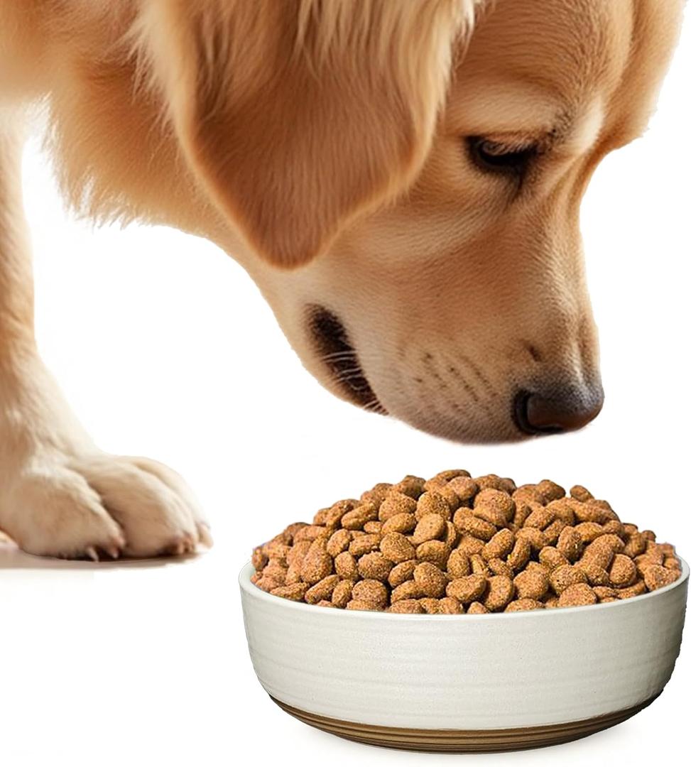 Ceramic Dog Bowl, Gift for Your Pet, Medium Water/Food Bowl, Microwave and Dishwasher Safe