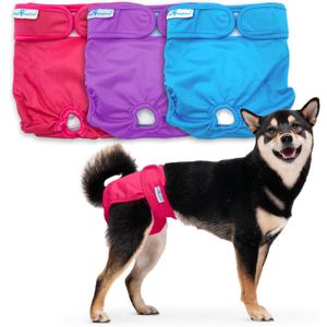Paw Inspired Washable Reusable Dog Diapers Female, Cloth Dog Diapers, Dogs in Heat, Dog Incontinence (Assorted (White Lining), Medium (3 Ct.))