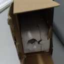 Autoexact Power Liftgate Struts Fit for 2014-2019 Toyota Highlander, Tailgate Lift Support, Rear Hatch Trunk Struts Shock, Aircraft-Grade Aluminum, Replaces 6891009120 6891009130, Left & Right Pair