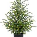 ENVEN 2FT Artificial Norfolk Pine Christmas Tree – Tabletop Faux Tree Unlit/Prelit with 50 LED Lights & 8-Function Battery Box, Pre-Assembled Holiday Decor for Home or Office (Prelit-2FT-1Pack)