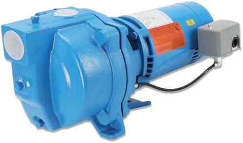 1/2 HP Residential Shallow Well Jet Pump, Heavy-Duty Cast Iron Self-Priming Water Pump for Home Water Supply & Garden Irrigation,115V