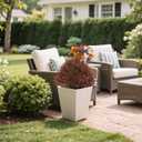 24" Fall Topiary Artificial Outdoor Plants, Faux Cedar Bushes & Shrubs