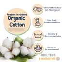 Mother's Choice Organic Cotton Baby Socks 6-12 Months - 12 pairs Soft and Cozy Baby Sock, Gentle Newborn Socks, Ideal Baby Gift, Infant Footwear for Everyday Comfort and Little Ones Feet (Tan Beige)