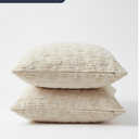 Set of 2 Soft Plush Short Wool Velvet Decorative Throw Pillow Covers 23*11