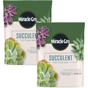 Miracle-Gro Succulent Potting Mix - Potting Soil Mix for Indoor Succulents, Aloe Vera and More, Made with Miracle-Gro Plant Food, 4 qt. (2-pack) (EXP 06/01/25)