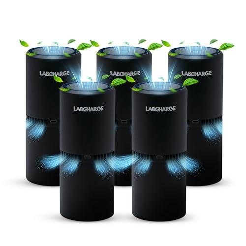 LabCharge Small Ionic Air Purifier for Home & Bedroom – Silent HEPA Filter – Covers 250 Sq Ft - Free Cleaner for Pets, Hair, Smoke, Dust, Odors & Dander – Compact & Black Design - Pack of 5