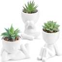 Der Rose 3pcs Fake Succulents Plants Artificial for Bathroom Bedroom Home Room Decor Aesthetic Indoor (White)