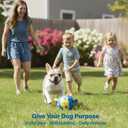 Race&Herd 6" Jolly Soccer Ball for Dogs - Tough Durable Dog Ball Toy with Straps, Pet Bouncy Herding Balls for Dogs, Floating Dog Balls with Tags for Water Fetch, BaaBaaBall (Blue)