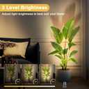URTOM 6W RGBW Uplighting Indoor Color Changing Up Lights Indoor with Remote Dimmable LED Spot Lights for Home Aluminum Accent Lighting for Party Plant Decor with 5.9 FT Plug Cord, 2 Pack